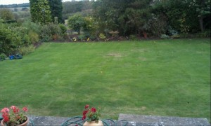 Lawn before
